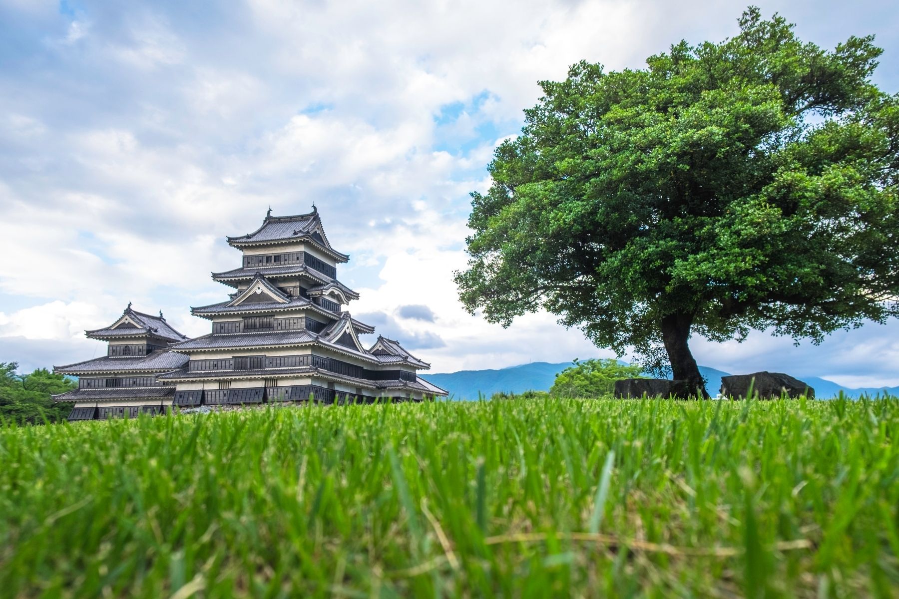 Matsumoto Castle - Grass